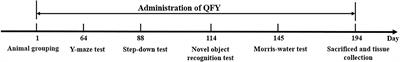 Qi-fu-yin attenuated cognitive disorders in 5xFAD mice of Alzheimer's disease animal model by regulating immunity